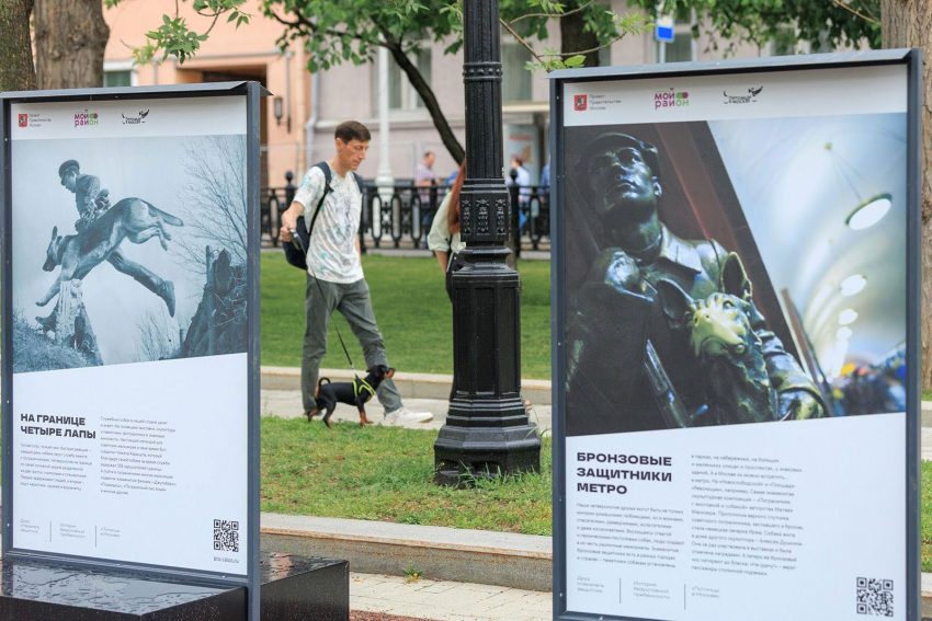 Второй цикл мероприятий «Друг, спасатель, защитник»