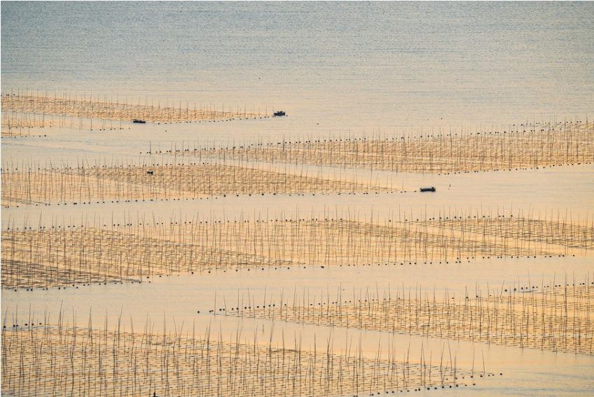 Выставка фотографий Сью Пак «Поэзия пустынных пространств»