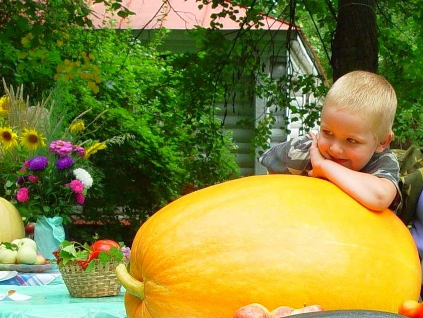 День тыквы в Мелихово