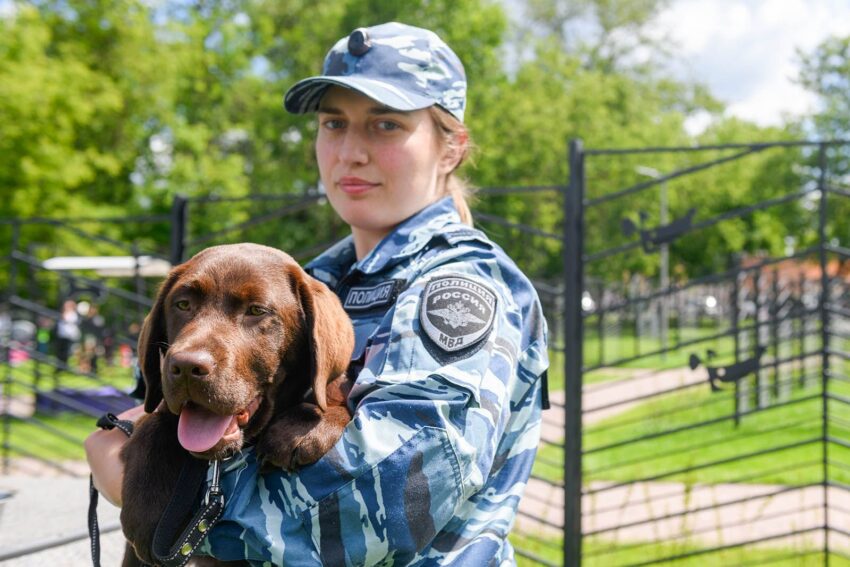 В Царицыне пройдут показательные выступления служебных собак