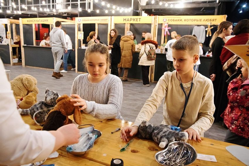 Фестиваль-пристройство «Собаки, которые любят… и котики!»