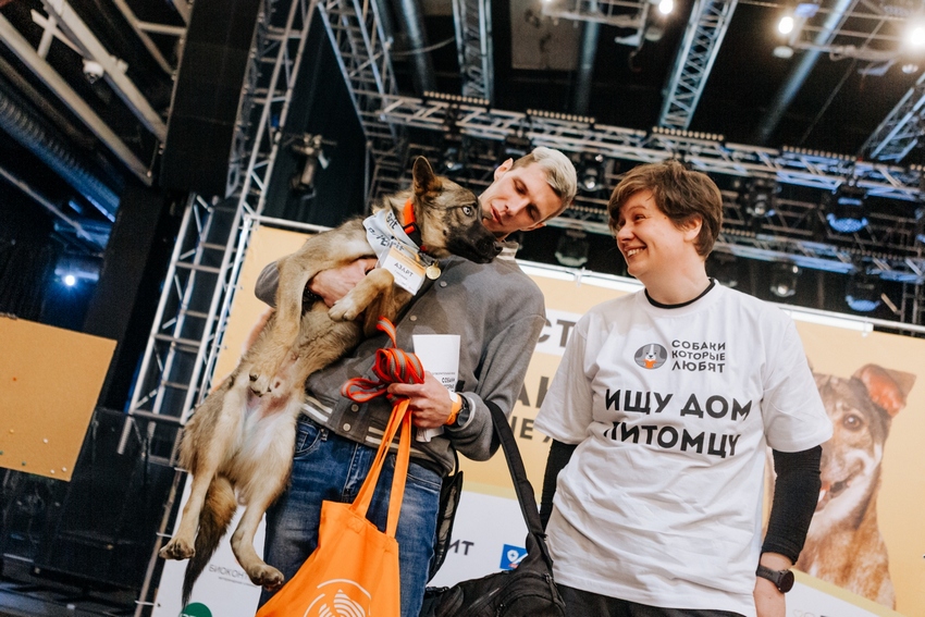Фестиваль-пристройство «Собаки, которые любят… и котики!»