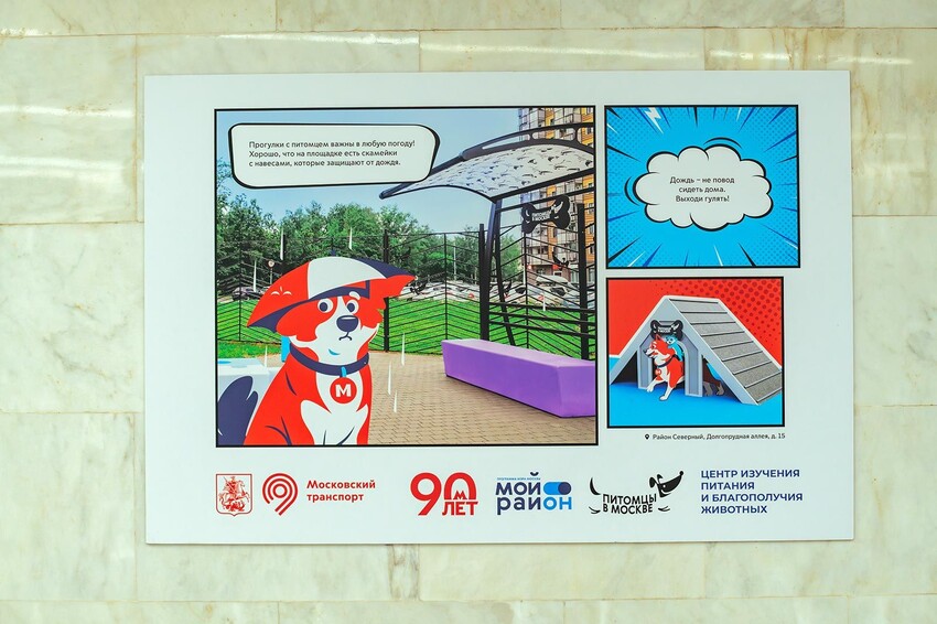 Фотовыставка о питомцах открылась в переходе между станциями «Новаторская» Большой кольцевой и Троицкой линий метро