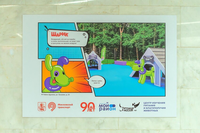 Фотовыставка о питомцах открылась в переходе между станциями «Новаторская» Большой кольцевой и Троицкой линий метро