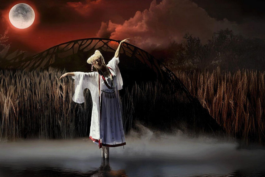 Шоу «Богатыри»