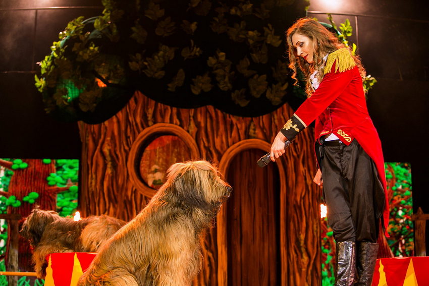 Шоу «Дед Мороз и Баба Яга спасают Новый год»