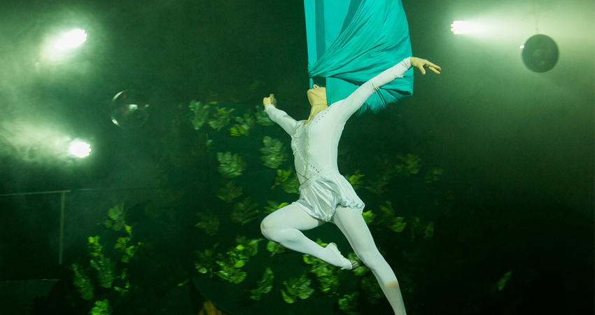 Шоу «Дед Мороз и Баба Яга спасают Новый год»