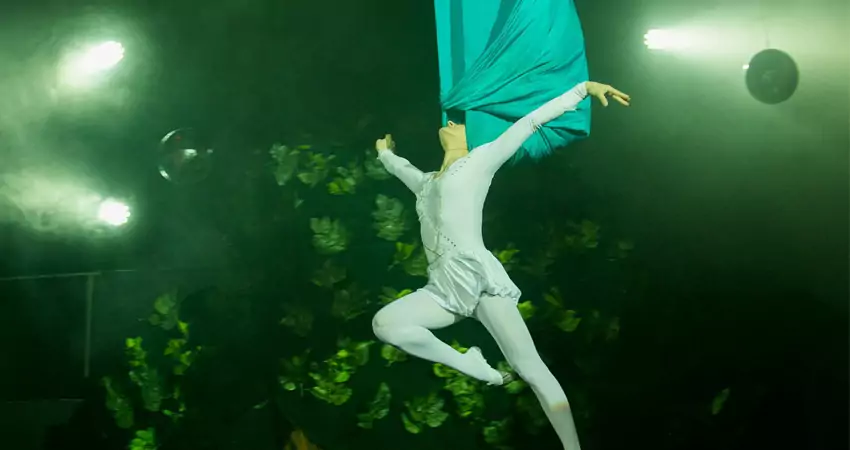 Шоу «Дед Мороз и Баба Яга спасают Новый год»