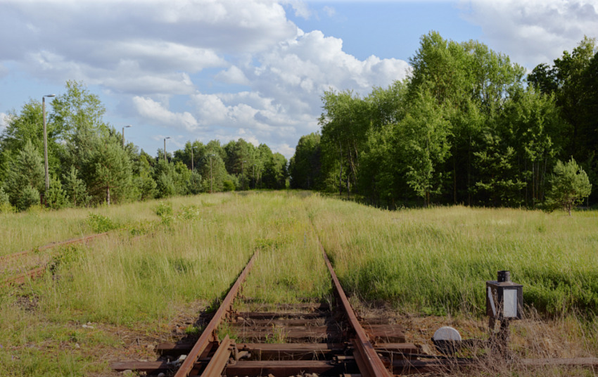 Выставка «Память места. Место памяти»
