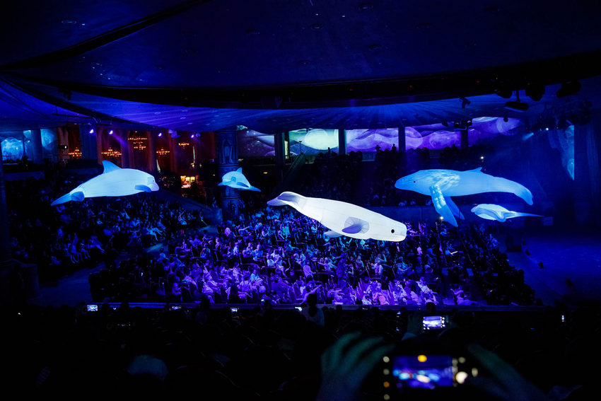 Рождественская сказка «НОВАЯ ЗВЕЗДА»