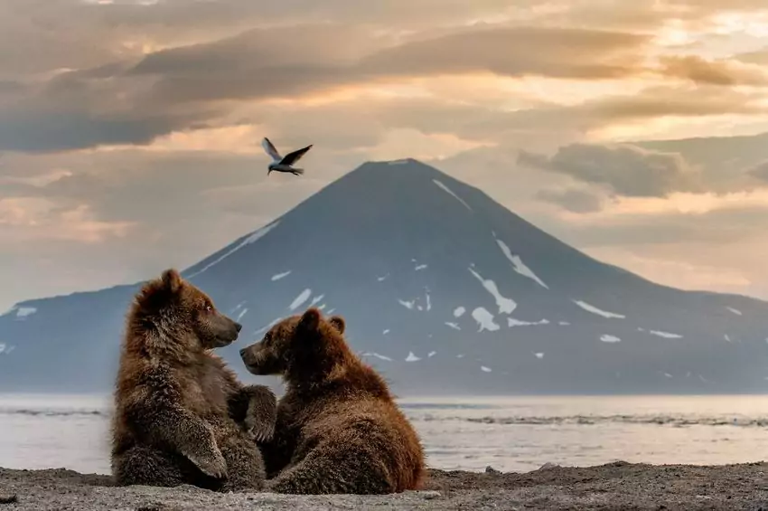 Фестиваль природы «Первозданная Россия»