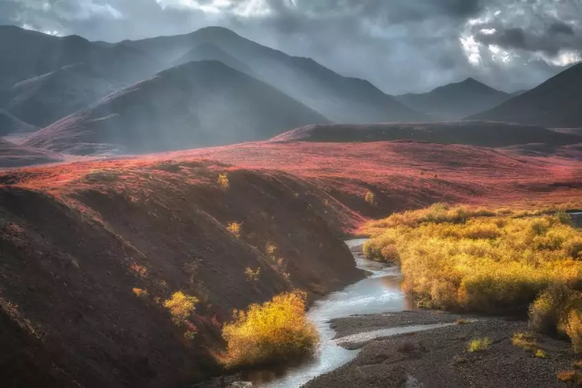 Фестиваль природы «Первозданная Россия»