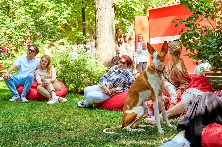На Тверском бульваре пройдет мероприятие «Моспитомец х Четвероногий друг»
