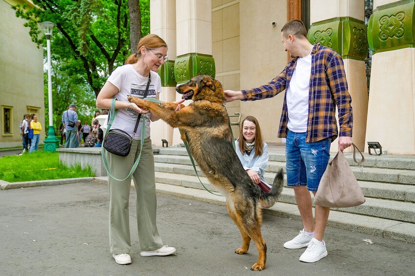Фестиваль «Моспитомец» на ВДНХ поможет найти нового друга и научит ответственному уходу за животными