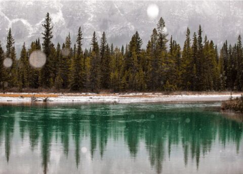 Выставка фотографий Сью Пак «Поэзия пустынных пространств»