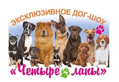 Дог-шоу «Четыре лапы»