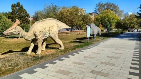 Академический парк