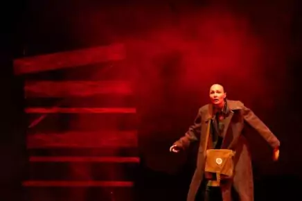 Спектакль «Бессмертники»