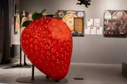 «Босх, Дюрер, Данте. Тайны земных наслаждений»: в Москве открылась выставка об искушениях, страхах и природе человека