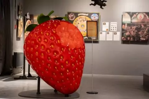 «Босх, Дюрер, Данте. Тайны земных наслаждений»: в Москве открылась выставка об искушениях, страхах и природе человека