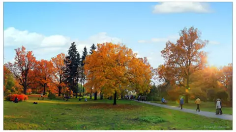 Главный ботанический сад Москвы им. Н.В. Цицина