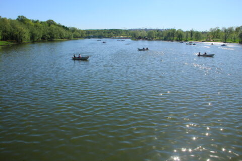 Открытие летнего сезона в музее-заповеднике «Царицыно»
