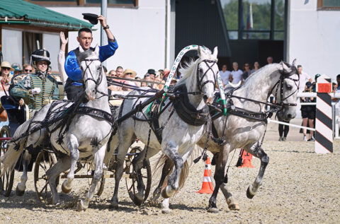 Чемпионат русских троек «Крылатое сердце России»