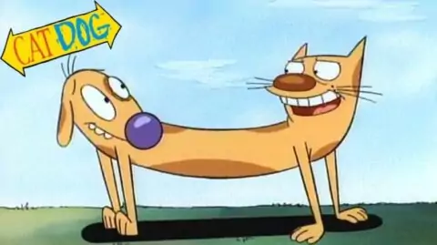 Чем закончился мультсериал «Котопёс» (1998–2005)