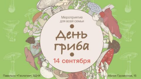 День гриба в Биологическом музее