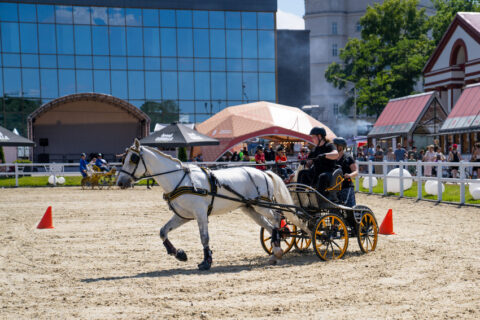 На ВДНХ проведут Чемпионат и Первенство Москвы по драйвингу