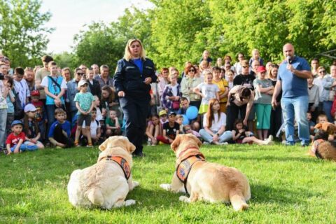 В парке 50-летия Октября и Южном Бутове пройдут показательные выступления служебных собак