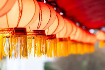 Экскурсии и квесты: в Московском зоопарке отметят китайский Новый год