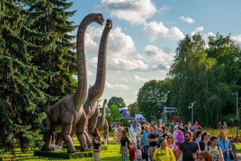 Выставка «От древних видов до современных технологий» в Музеоне