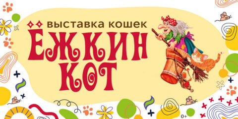 Международная выставка кошек «Ёжкин кот»
