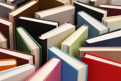 Книжный фестиваль «Букинист – 2018»