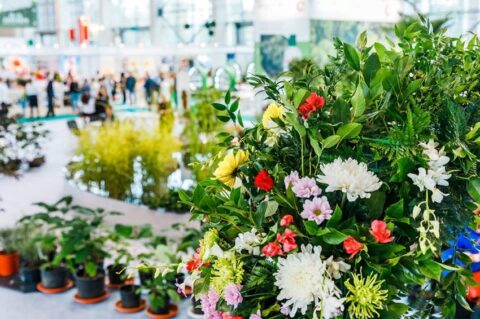 Экофестиваль Green City