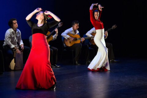 Фламенко-шоу «Flamencura»