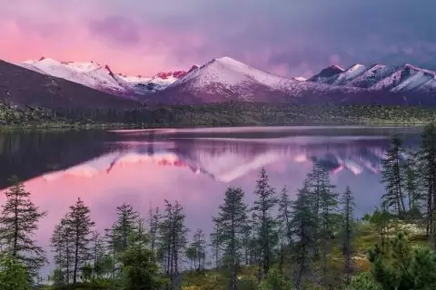 Фотовыставка «Куда приводят мечты» в Дарвиновском музее