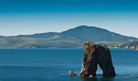 Фотовыставка «Морские жители Земли Леопарда»