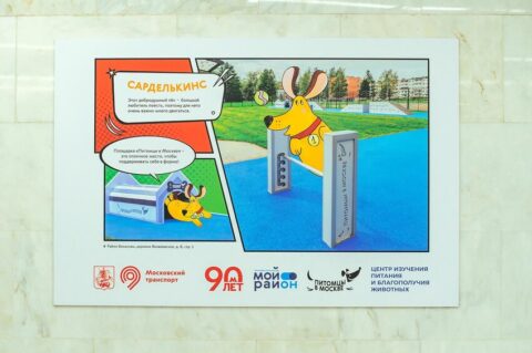 Фотовыставка «Питомцы в Москве» открылась в переходе станции метро «Новаторская»