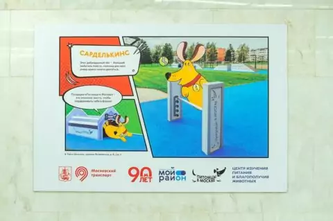 Фотовыставка «Питомцы в Москве» открылась в переходе станции метро «Новаторская»