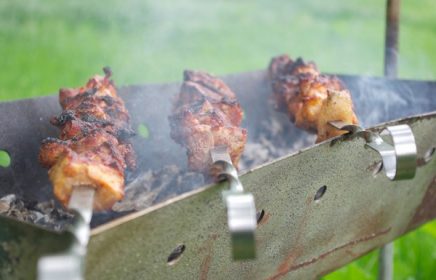 Где в Москве можно жарить шашлыки