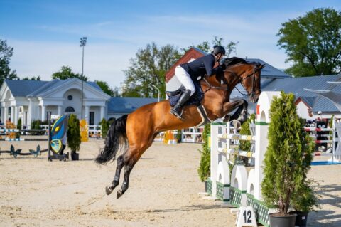 Открытый московский фестиваль конного искусства и спорта