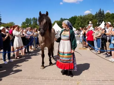 В парке «Кузьминки» пройдет Фестиваль национальных пород лошадей «Конное достояние».