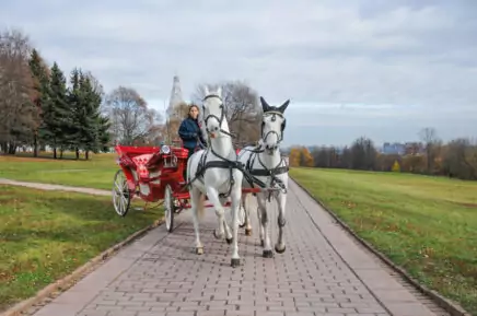 Конные прогулки в Коломенском