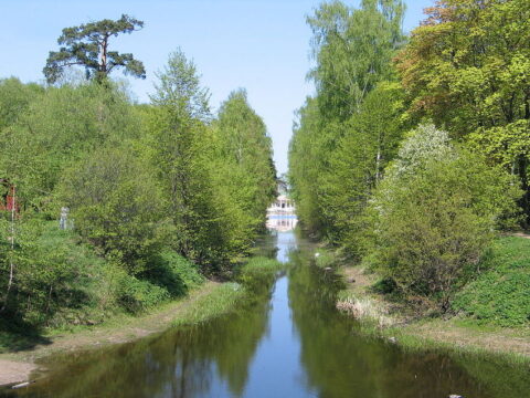 Кусковский лесопарк