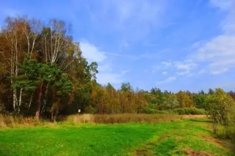 Парк Лосиный остров