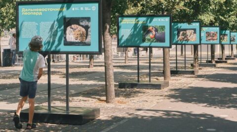 В парке искусств «Музеон» открылась выставка к юбилею Московского зоопарка