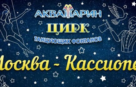 Новогоднее цирковое шоу «Москва — Кассиопея»