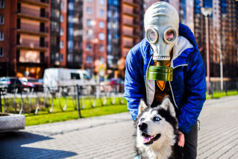 Виртуальный музей самоизоляции